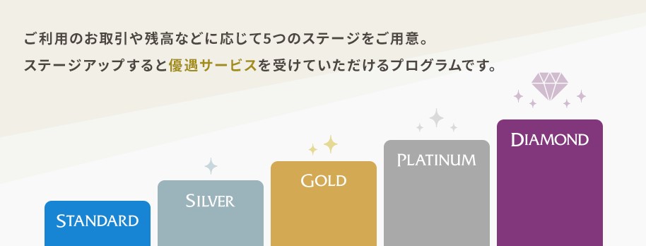 ステップアッププログラム